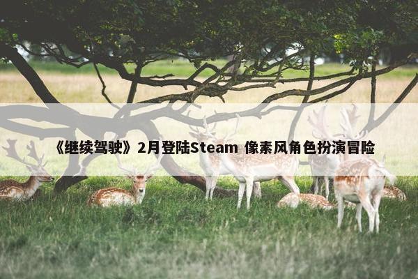 《继续驾驶》2月登陆Steam 像素风角色扮演冒险