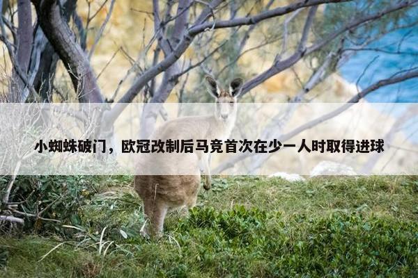 小蜘蛛破门，欧冠改制后马竞首次在少一人时取得进球