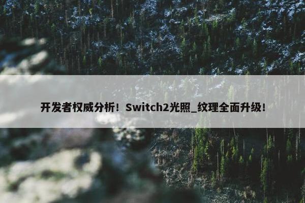 开发者权威分析！Switch2光照_纹理全面升级！