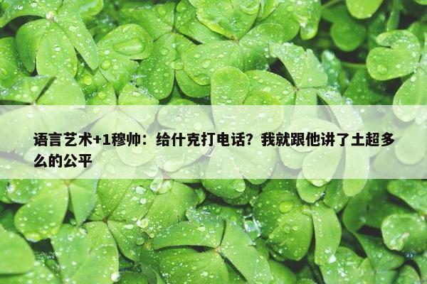 语言艺术+1穆帅：给什克打电话？我就跟他讲了土超多么的公平