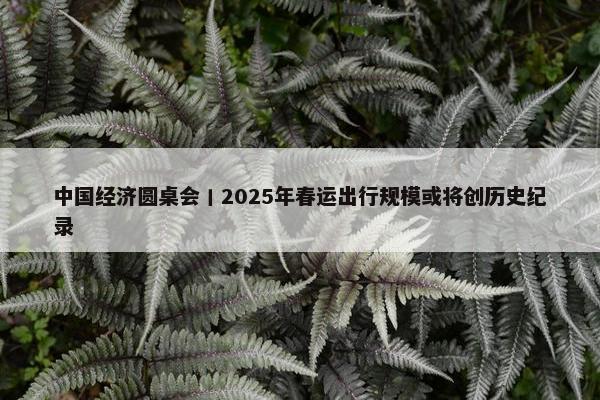 中国经济圆桌会丨2025年春运出行规模或将创历史纪录