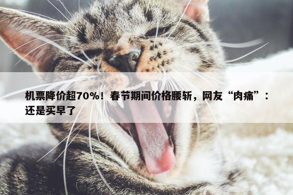 机票降价超70%！春节期间价格腰斩，网友“肉痛”：还是买早了