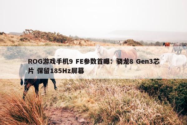 ROG游戏手机9 FE参数首曝：骁龙8 Gen3芯片 保留185Hz屏幕