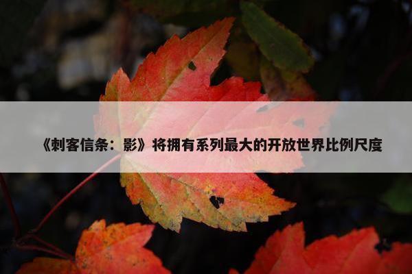 《刺客信条：影》将拥有系列最大的开放世界比例尺度