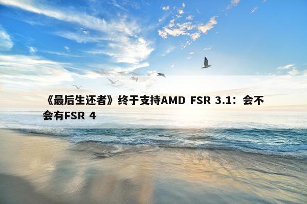 《最后生还者》终于支持AMD FSR 3.1：会不会有FSR 4