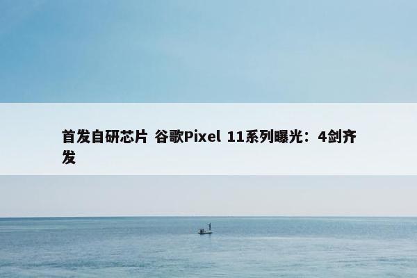 首发自研芯片 谷歌Pixel 11系列曝光：4剑齐发