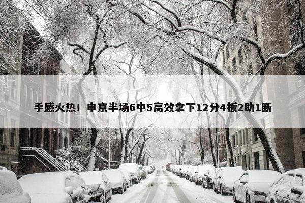 手感火热！申京半场6中5高效拿下12分4板2助1断