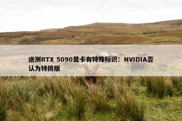 送测RTX 5090显卡有特殊标识：NVIDIA否认为特挑版