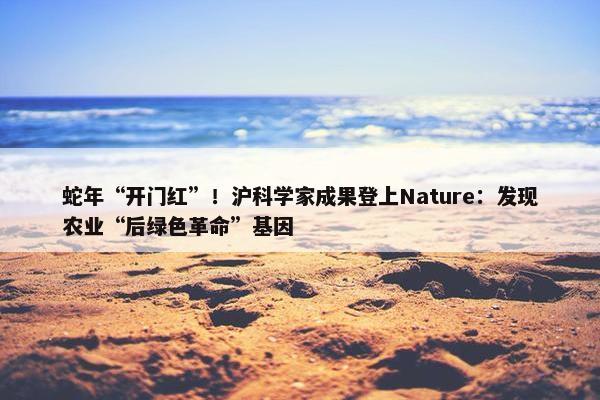 蛇年“开门红”！沪科学家成果登上Nature：发现农业“后绿色革命”基因