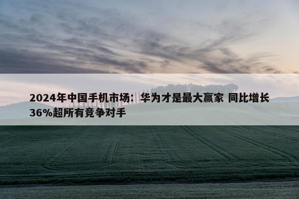 2024年中国手机市场：华为才是最大赢家 同比增长36%超所有竞争对手