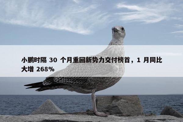 小鹏时隔 30 个月重回新势力交付榜首，1 月同比大增 268%