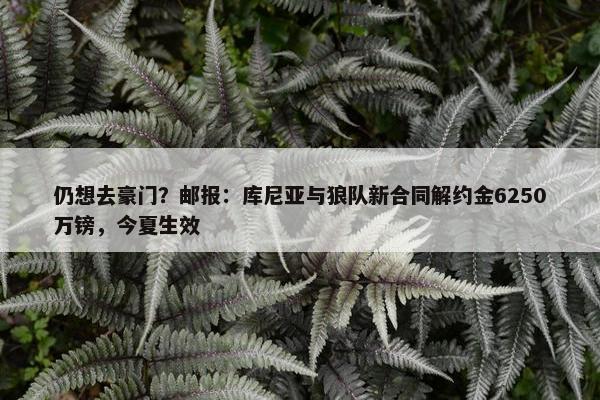 仍想去豪门？邮报：库尼亚与狼队新合同解约金6250万镑，今夏生效