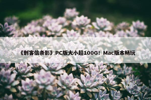 《刺客信条影》PC版大小超100G！Mac版本畅玩