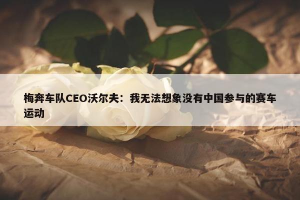 梅奔车队CEO沃尔夫：我无法想象没有中国参与的赛车运动