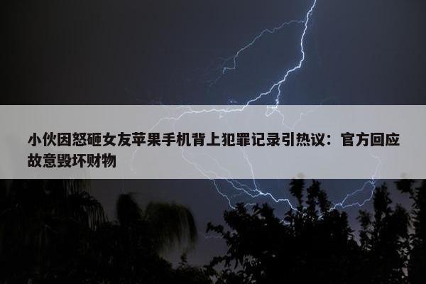 小伙因怒砸女友苹果手机背上犯罪记录引热议：官方回应故意毁坏财物