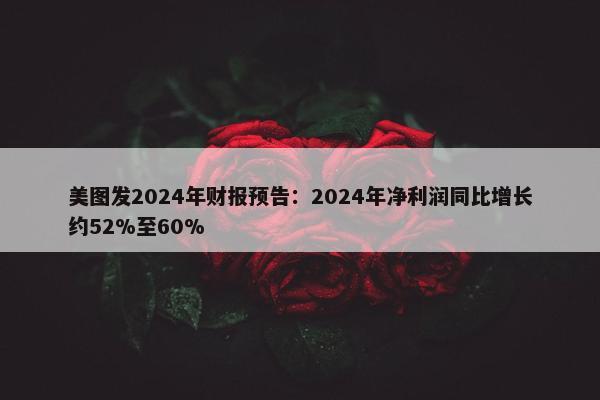 美图发2024年财报预告：2024年净利润同比增长约52%至60%