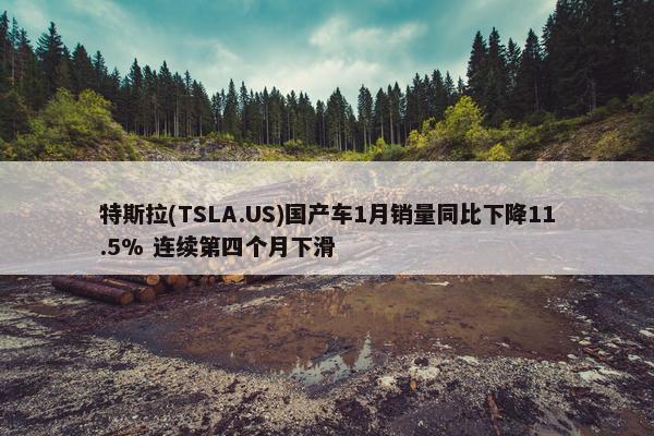 特斯拉(TSLA.US)国产车1月销量同比下降11.5% 连续第四个月下滑