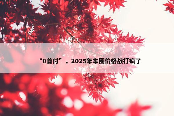 “0首付”，2025年车圈价格战打疯了