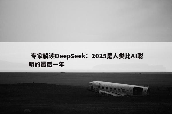  专家解读DeepSeek：2025是人类比AI聪明的最后一年