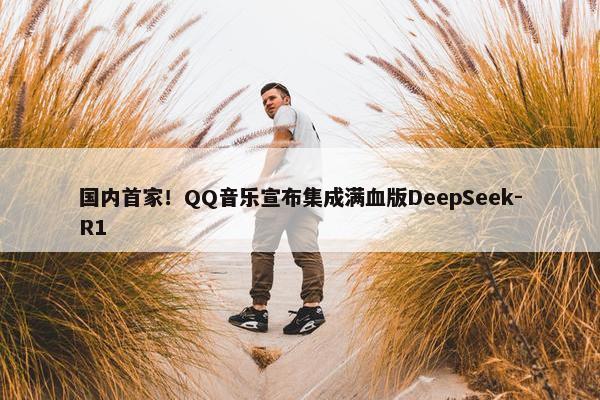 国内首家！QQ音乐宣布集成满血版DeepSeek-R1