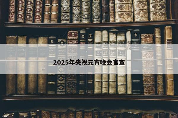 2025年央视元宵晚会官宣