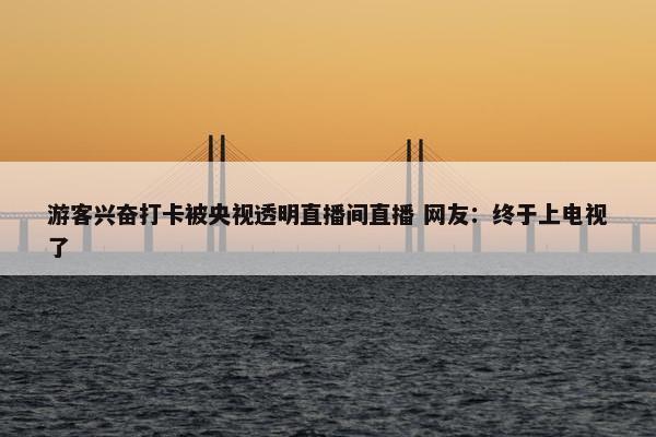 游客兴奋打卡被央视透明直播间直播 网友：终于上电视了