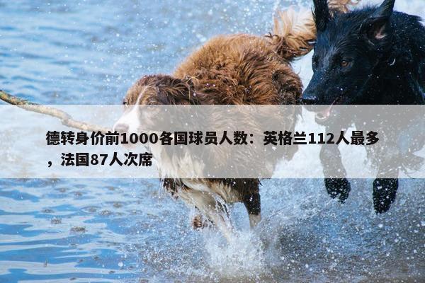 德转身价前1000各国球员人数：英格兰112人最多，法国87人次席