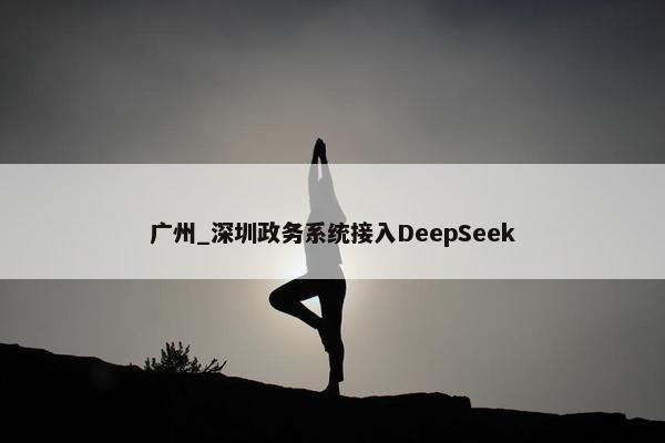 广州_深圳政务系统接入DeepSeek