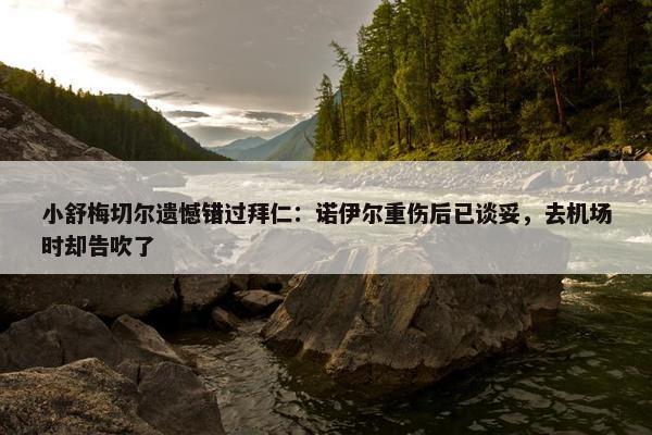 小舒梅切尔遗憾错过拜仁：诺伊尔重伤后已谈妥，去机场时却告吹了