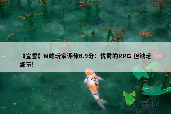 《宣誓》M站玩家评分6.9分：优秀的RPG 但缺乏细节!