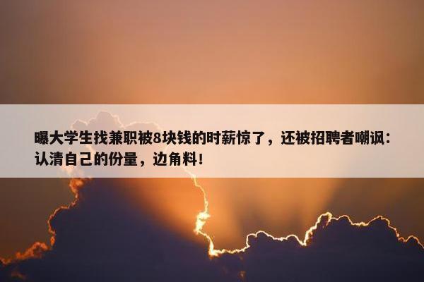 曝大学生找兼职被8块钱的时薪惊了，还被招聘者嘲讽：认清自己的份量，边角料！