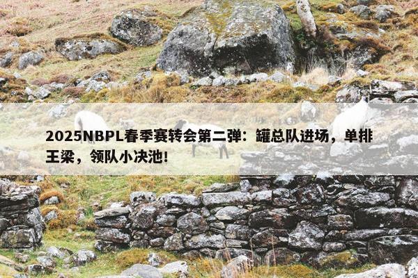 2025NBPL春季赛转会第二弹：罐总队进场，单排王梁，领队小决池！