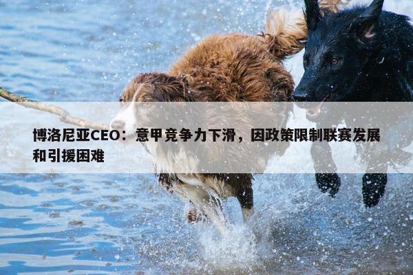 博洛尼亚CEO：意甲竞争力下滑，因政策限制联赛发展和引援困难