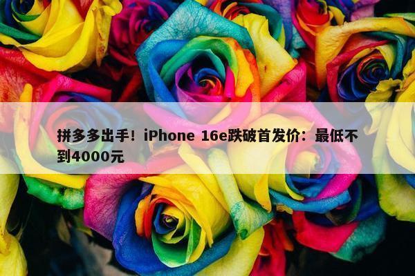 拼多多出手！iPhone 16e跌破首发价：最低不到4000元