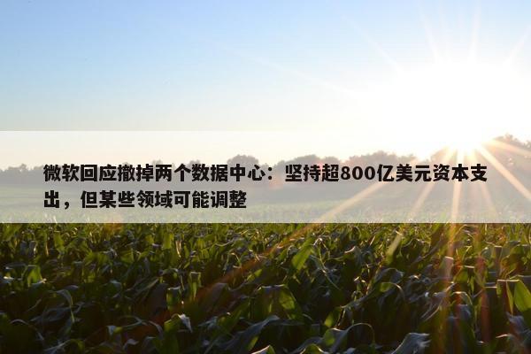 微软回应撤掉两个数据中心：坚持超800亿美元资本支出，但某些领域可能调整