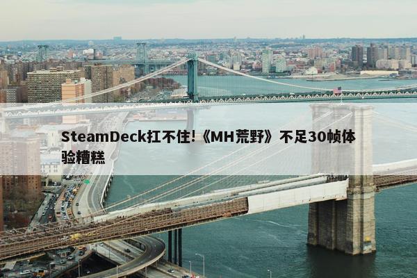 SteamDeck扛不住!《MH荒野》不足30帧体验糟糕