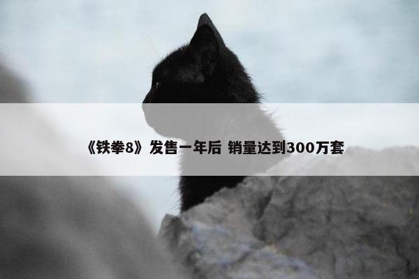 《铁拳8》发售一年后 销量达到300万套