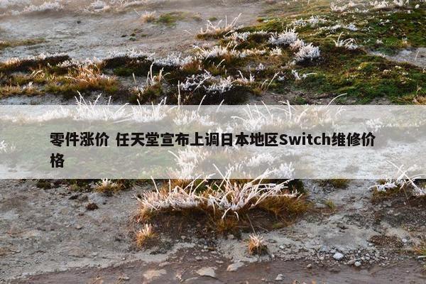 零件涨价 任天堂宣布上调日本地区Switch维修价格