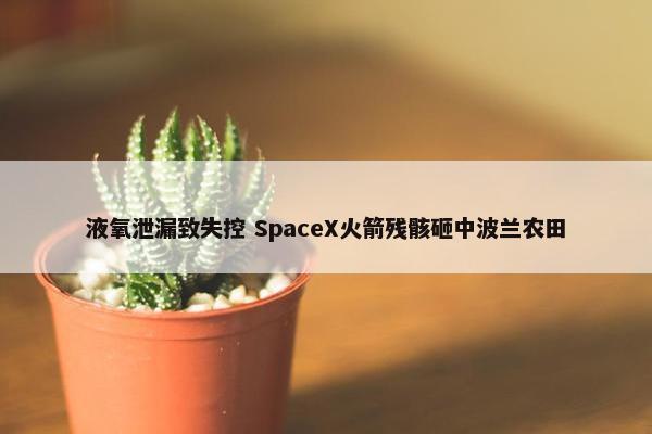 液氧泄漏致失控 SpaceX火箭残骸砸中波兰农田