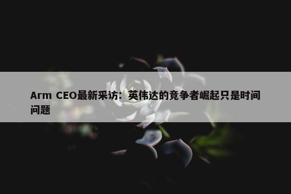 Arm CEO最新采访：英伟达的竞争者崛起只是时间问题