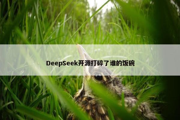 DeepSeek开源打碎了谁的饭碗