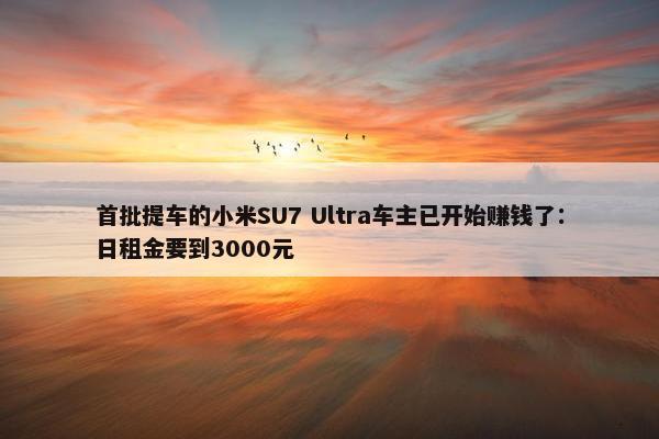 首批提车的小米SU7 Ultra车主已开始赚钱了：日租金要到3000元