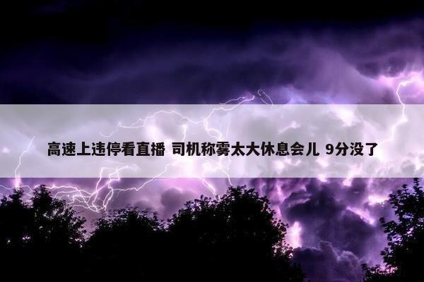 高速上违停看直播 司机称雾太大休息会儿 9分没了