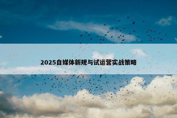 2025自媒体新规与试运营实战策略