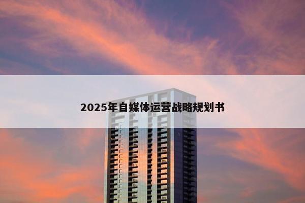 2025年自媒体运营战略规划书