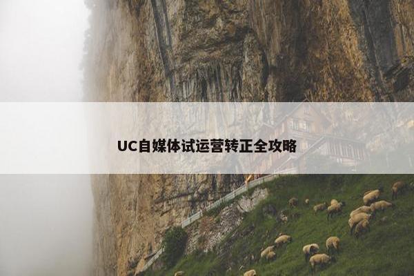 UC自媒体试运营转正全攻略