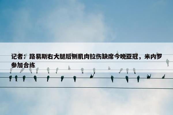 记者：路易斯右大腿后侧肌肉拉伤缺席今晚亚冠，米内罗参加合练