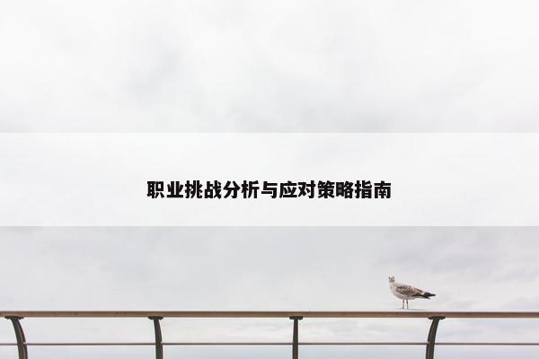 职业挑战分析与应对策略指南