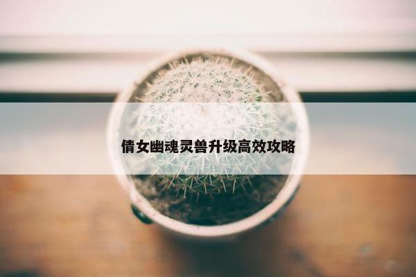 倩女幽魂灵兽升级高效攻略