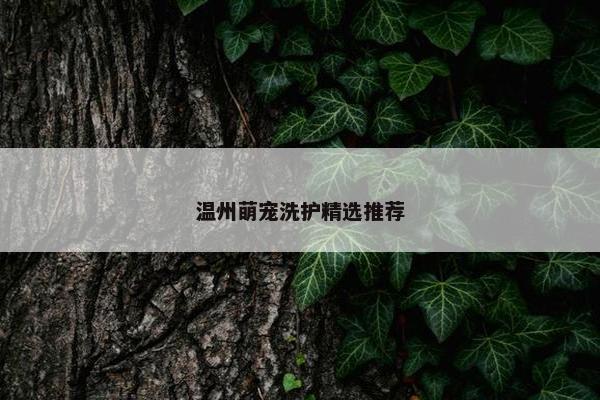 温州萌宠洗护精选推荐